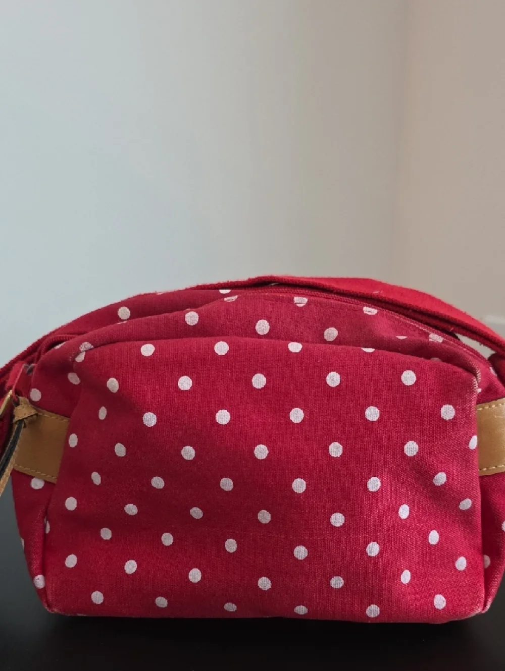 Capezio Polkadot Crossbody Bag